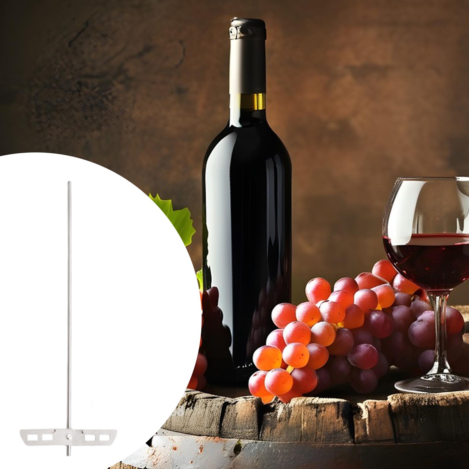 High Efficiency Degassing Whip - огляд і ціна Wine Mix With Beer